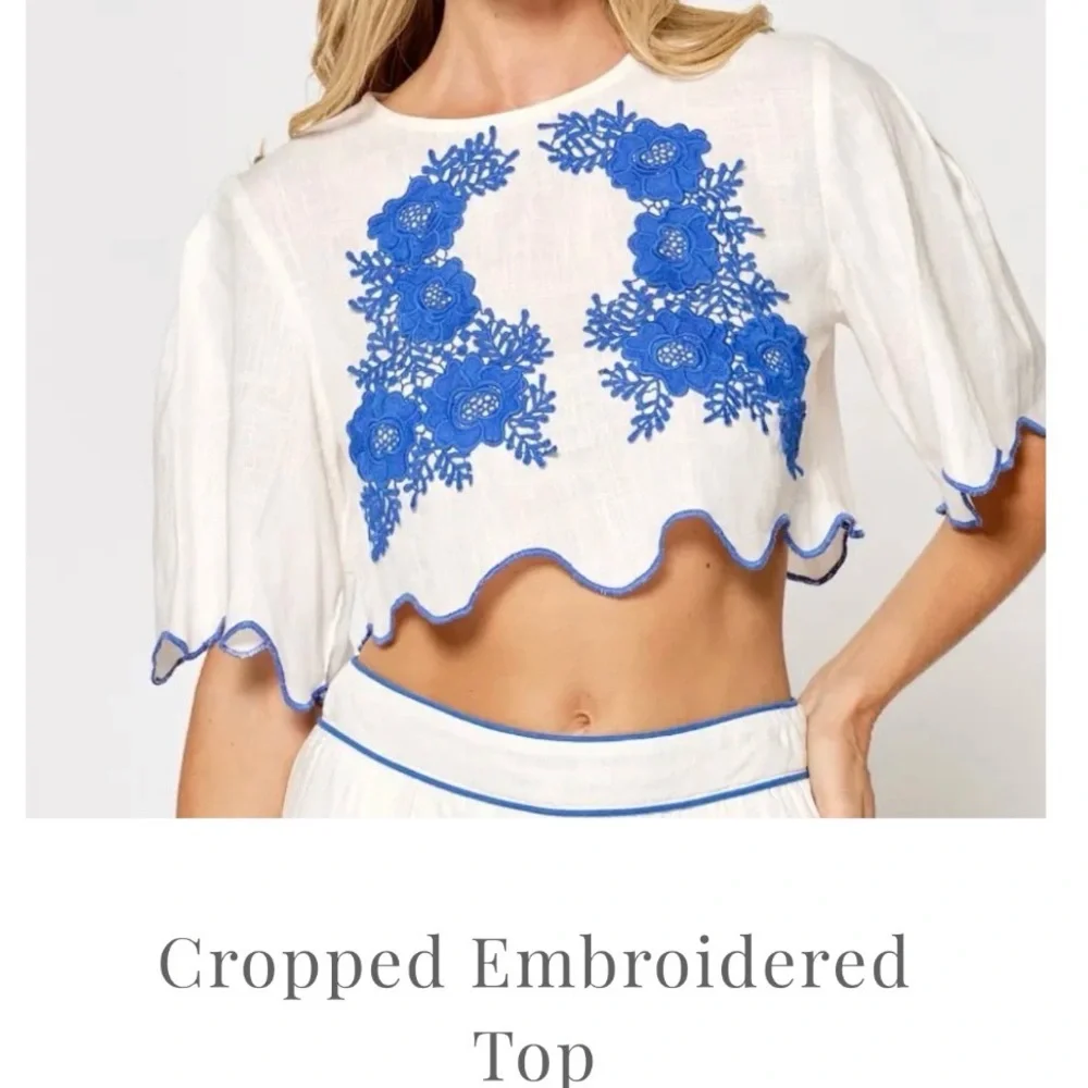 Vestique White and Blue Embroidered Crop Top - Picture 1 of 4